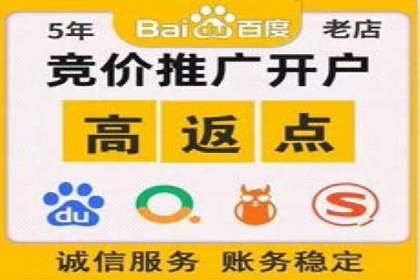 案例分析：百度竞价广告投放技巧